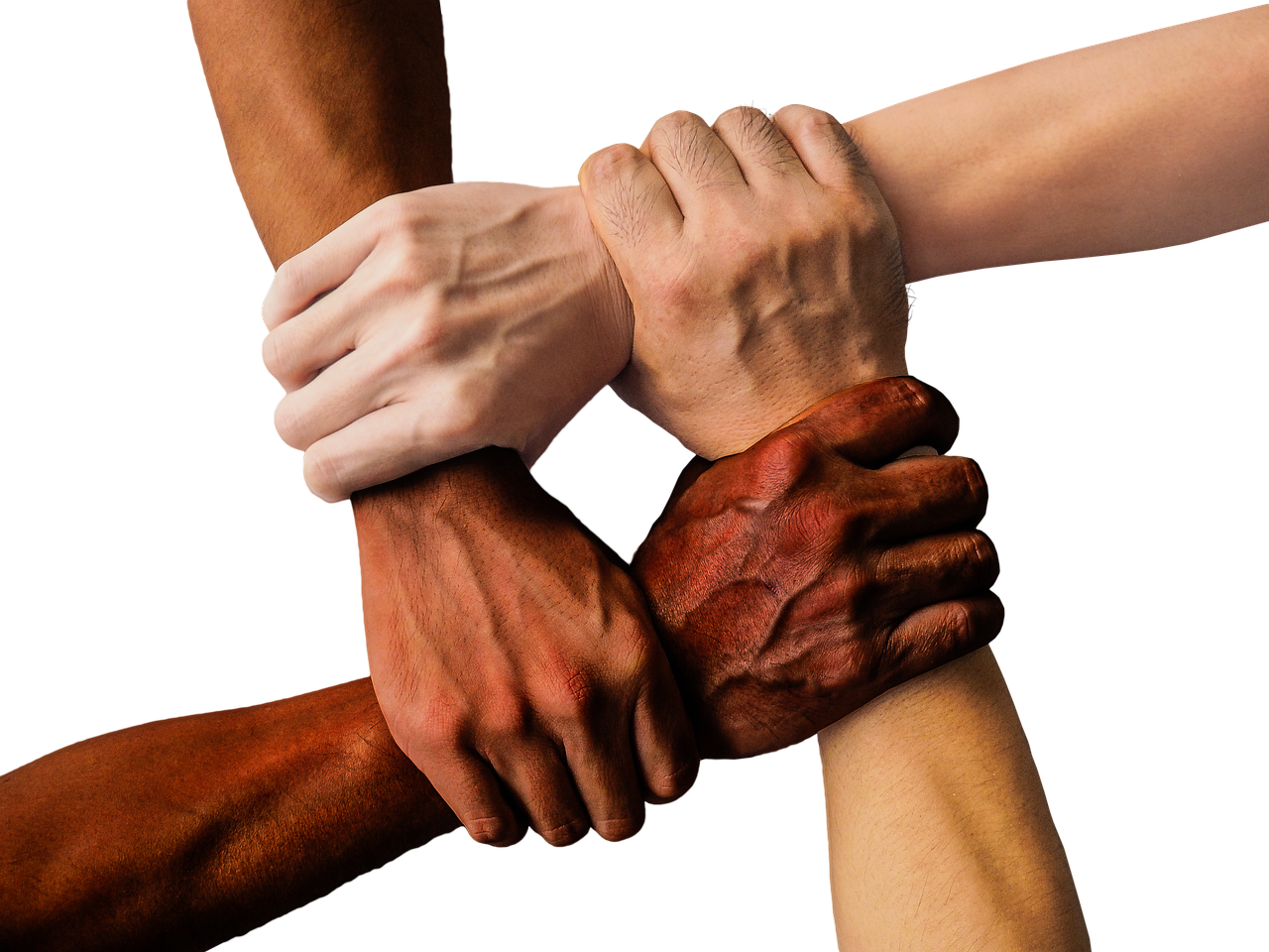 hands, team, united, together, people, unity, teamwork, group, hand in hand, union, support, friendship, cooperation, community, holding, connection, harmony, diversity, cut out, hands, hands, hands, hands, team, team, team, team, team, together, together, people, people, people, people, unity, teamwork, teamwork, group, support, support, friendship, friendship, community, community, community, community, connection, diversity, diversity, diversity, diversity